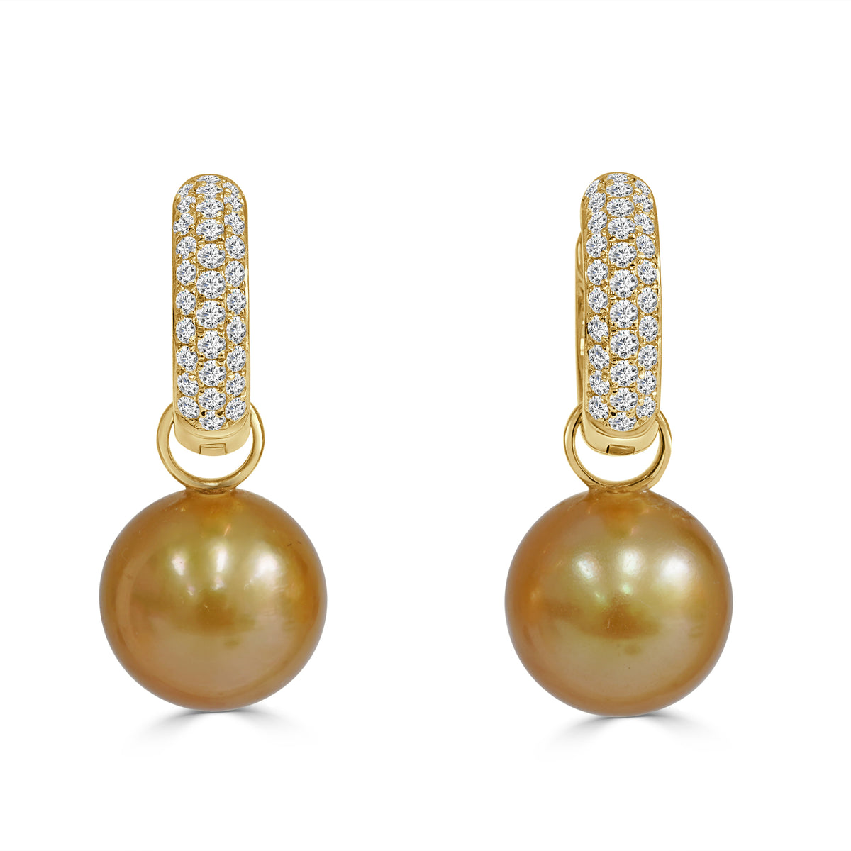 Golden South Sea Pearls set in 18K Yellow gold with pave set diamond hoop earrings