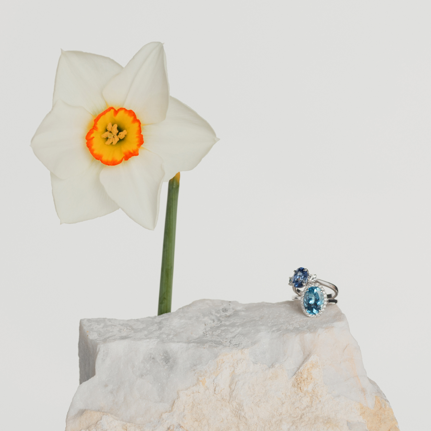 Two Sapphire rings displayed on white marble accompanied by a daffodil