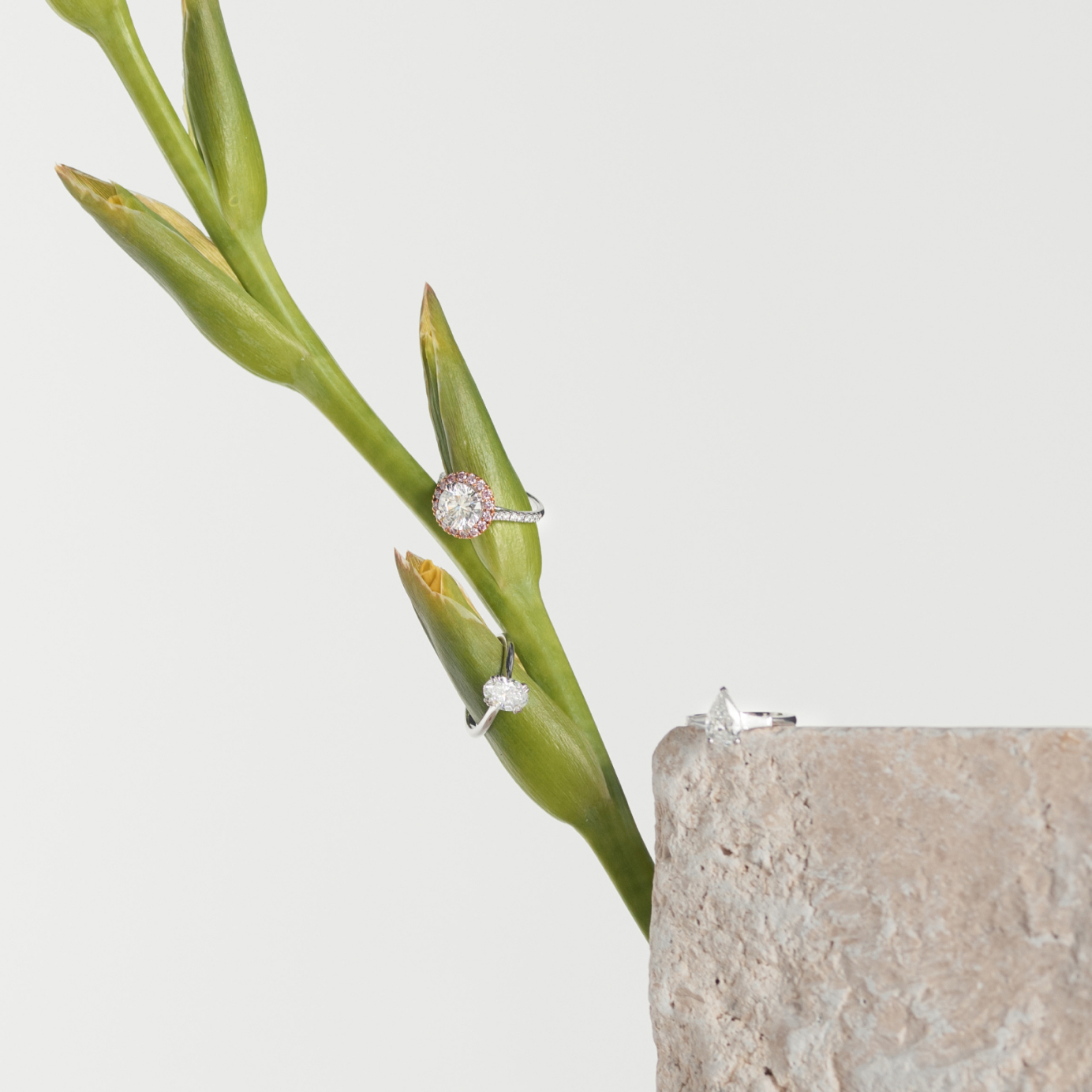 A pear shaped diamond ring sits upon a stone with two rings sitting on greenery