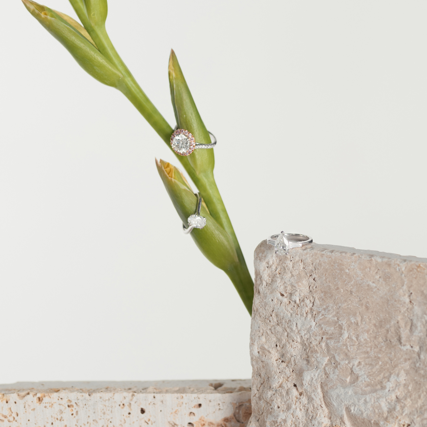 A pear shaped diamond ring sits upon a stone with two rings sitting on greenery